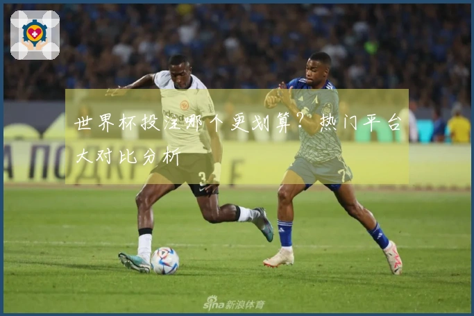 世界杯投注哪个更划算？热门平台大对比分析