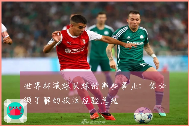 世界杯滚球买球的那些事儿：你必须了解的投注经验总结